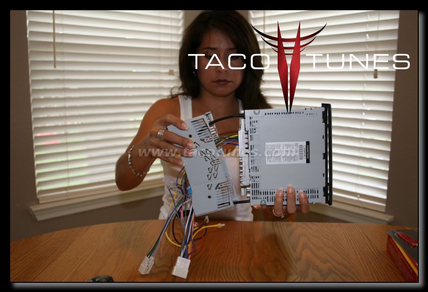 www.tacotunes.com