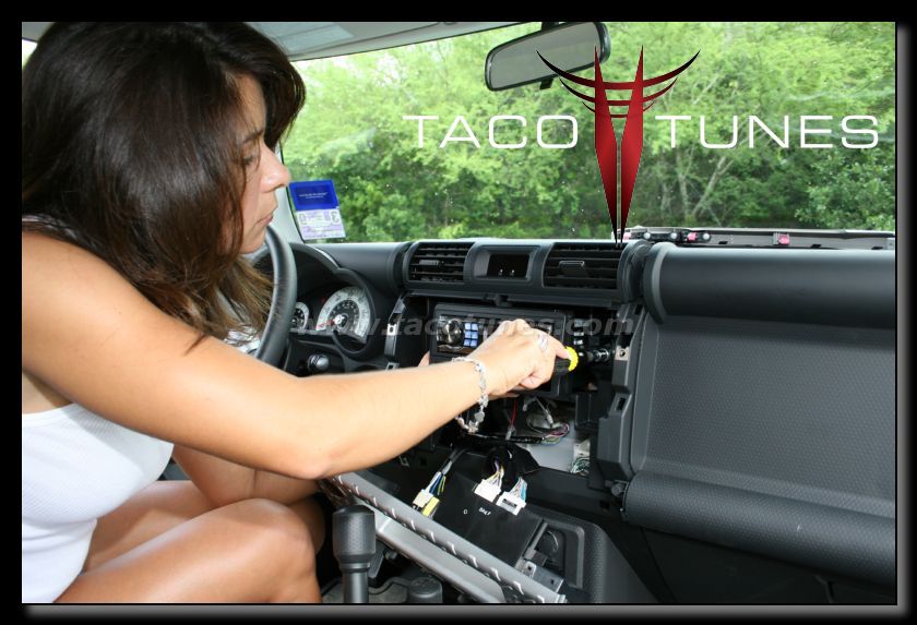 www.tacotunes.com