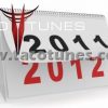 Year